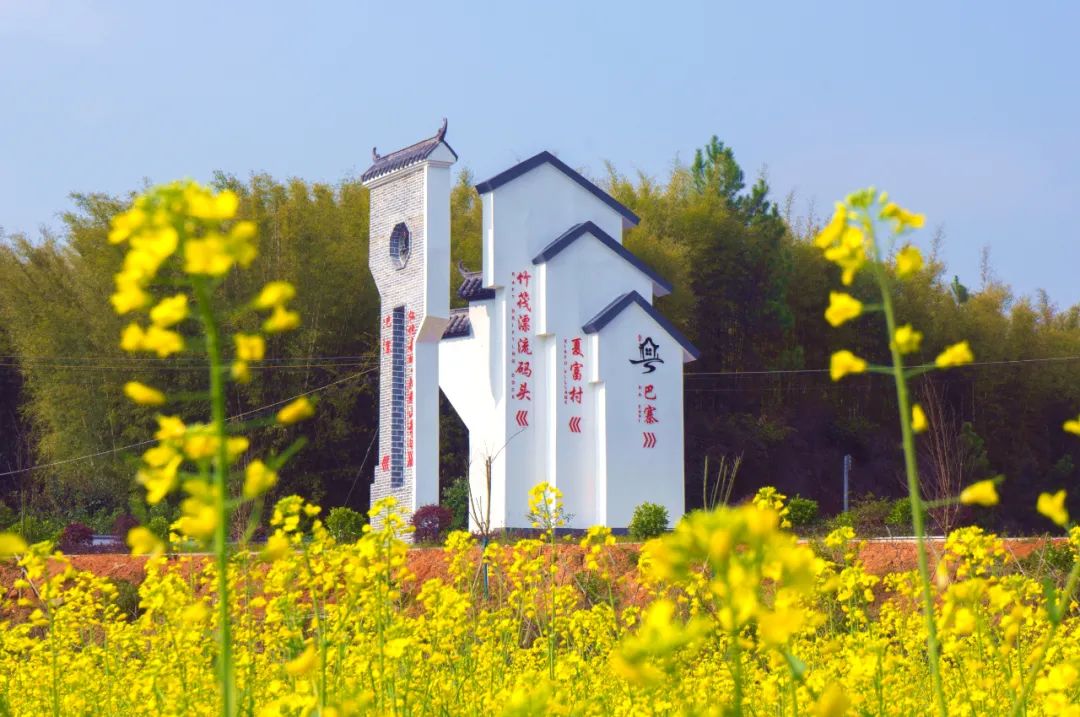 丹霞鄉(xiāng)村金花節(jié)帶你邂逅最美春色